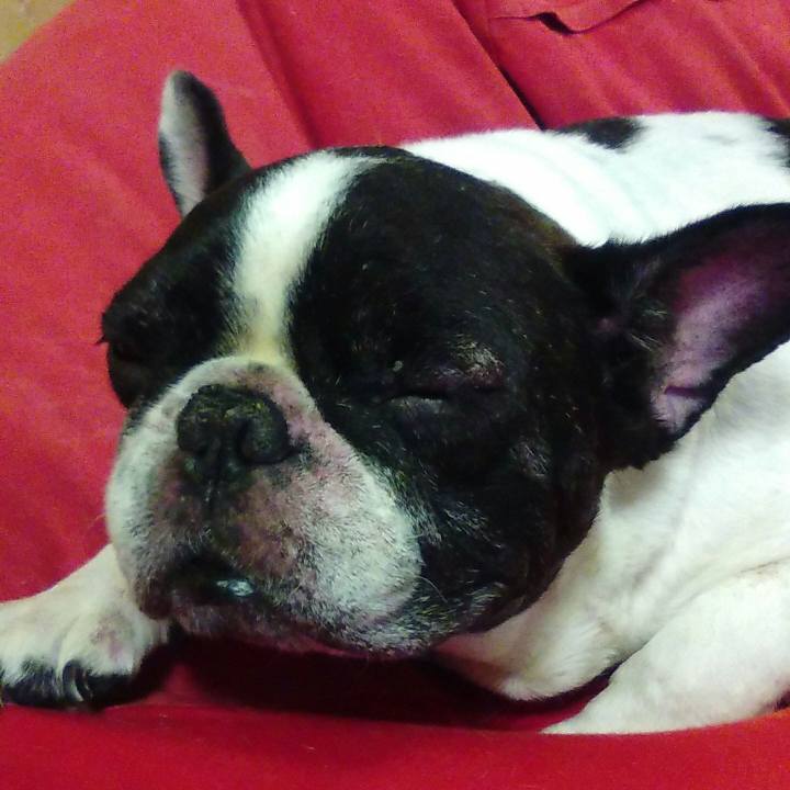 Dc1e7709 5930 4ffa a20c 25f1e4891002