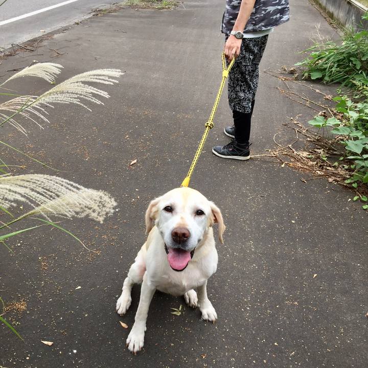 Dc1ea6d2 7acb 4b89 9c96 f941a72a8632