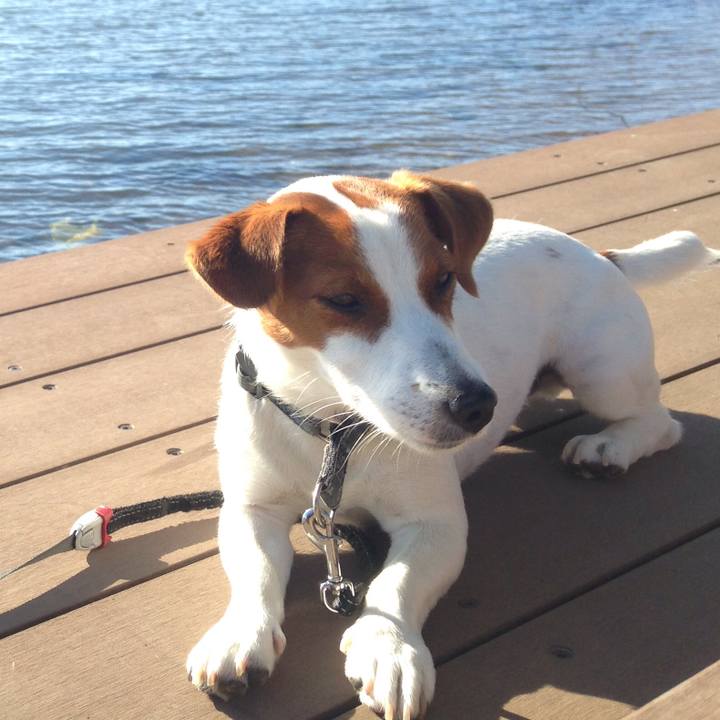 Dc1ed7af 9b25 47da a003 fe4817c5c6fb