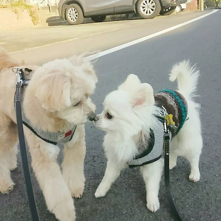 Dc1f0165 8725 4013 813b 5d4e2016a148