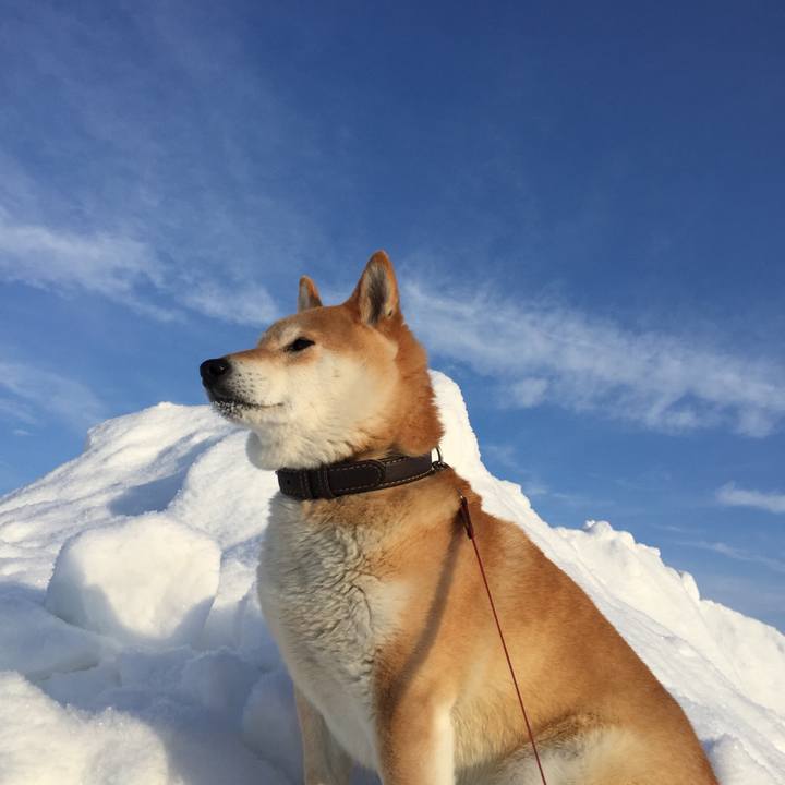 Dc1fe493 27a2 4d30 a8ed a38fd5a84593