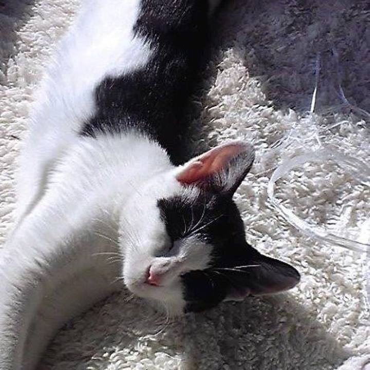 Dc20171e 2558 48a1 a6f1 534d70042bf9