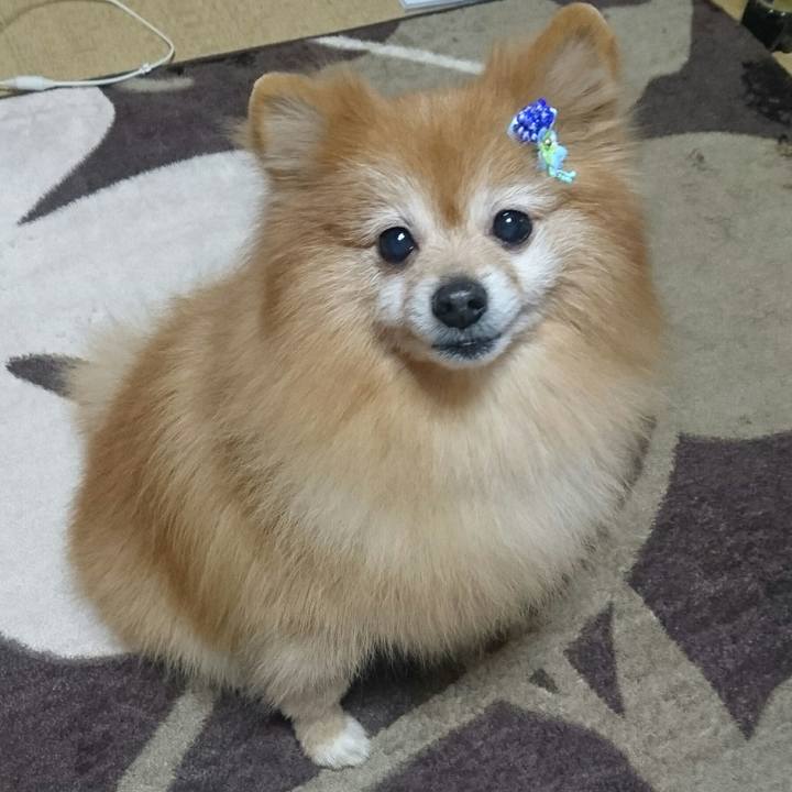 Dc208797 ad22 4345 ae7b d5aa2392940d