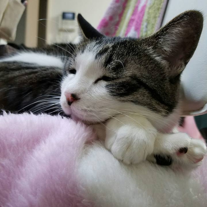 Dc20d1a1 9749 431e 8127 ea249cd55254