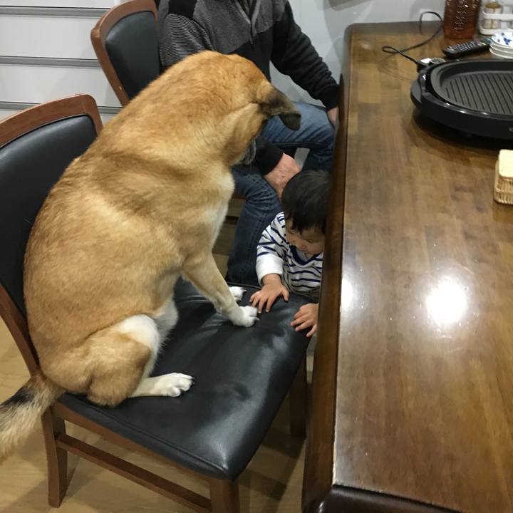 Dc215ec9 35a9 467e 8e0c ebdbc418d9dd