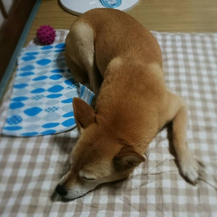 Dc2163c5 bd0d 4678 a7e9 6556a74e8f1e