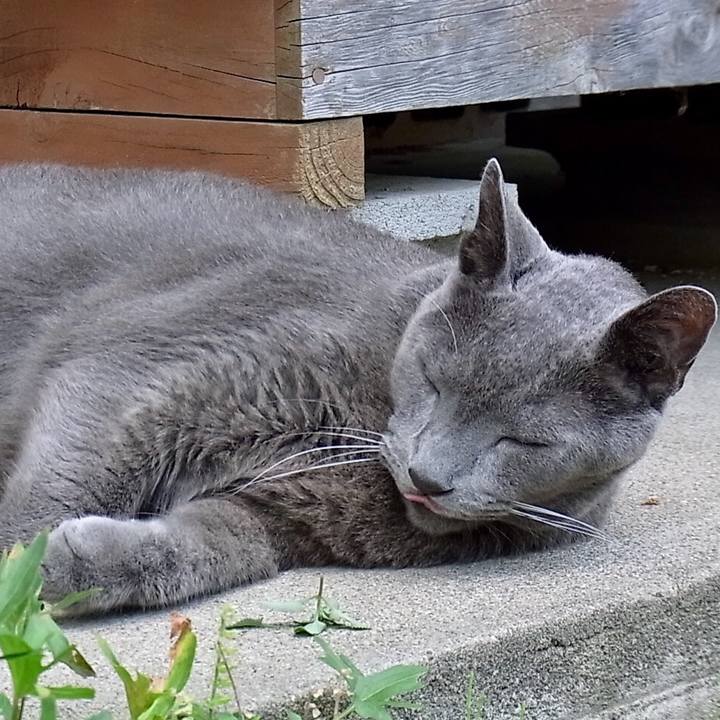 Dc21d02c ce38 4782 aaa9 f46dc30dfc4b