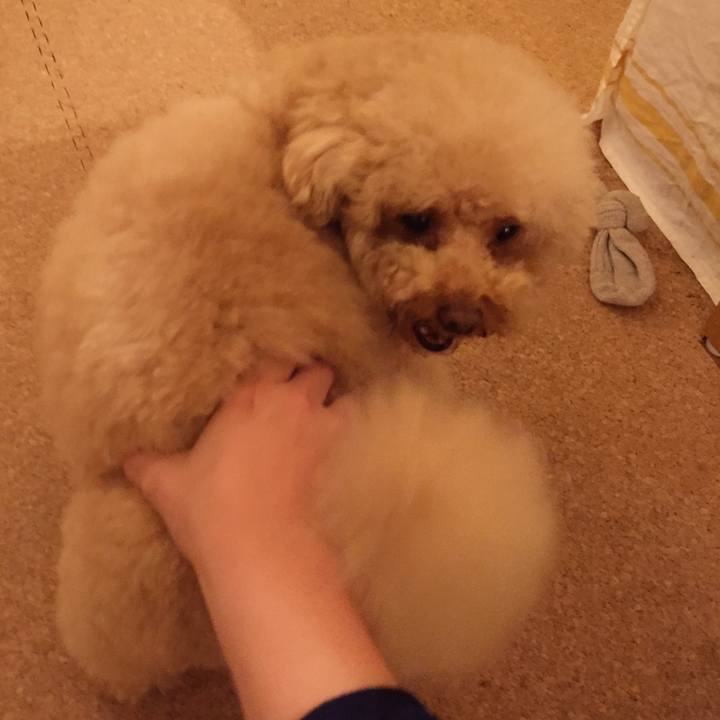 Dc226510 57f3 4e02 ba8f de5d5cf1a35b