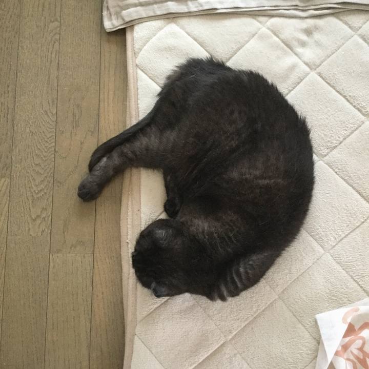 Dc22d805 632f 422a 8f46 757d9b3482c3