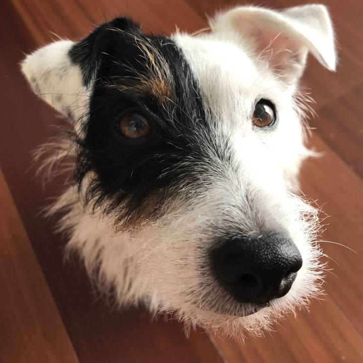 Dc244a2c a03d 4ae6 afd1 33a52e6cae98