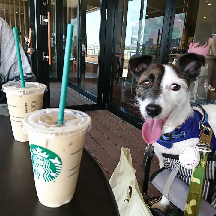 Dc25299c 6e68 4f55 aa89 2294991ad4c7