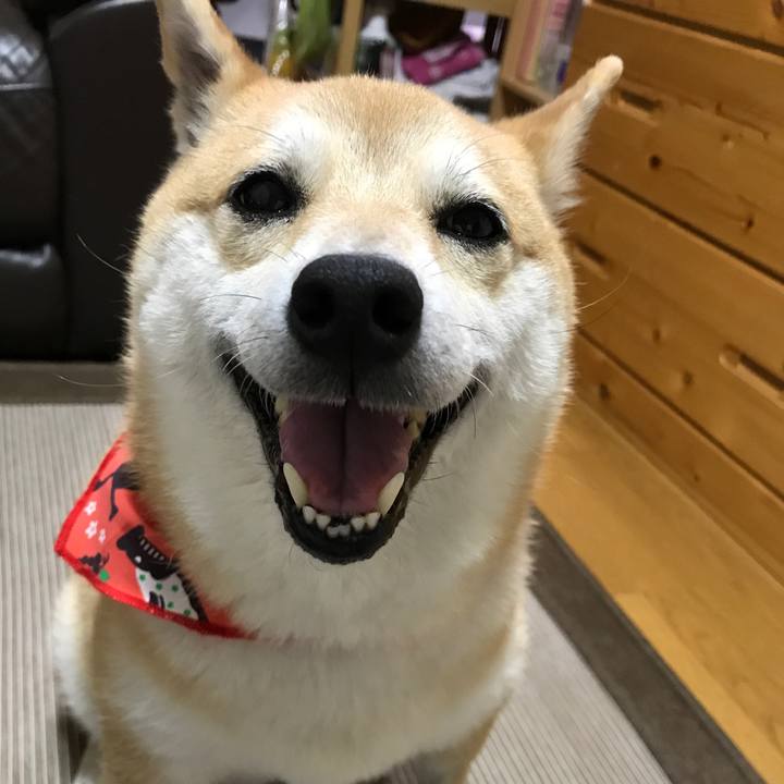 Dc259a8b 488f 4599 8889 caa97ebab358