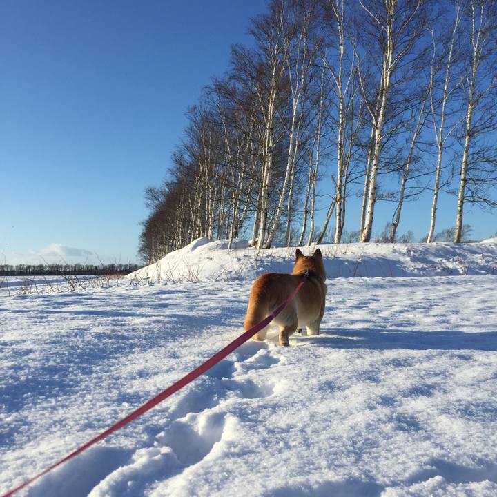 Dc26c7ea 22f1 43b2 a153 4a5ce716c71f