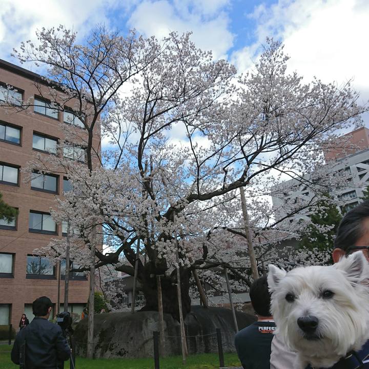 Dc26d1e1 a22c 42d2 90ba 4f52182aaef3