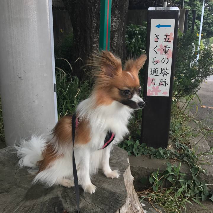 Dc26fc18 9437 4997 bb38 f86b58661ca0