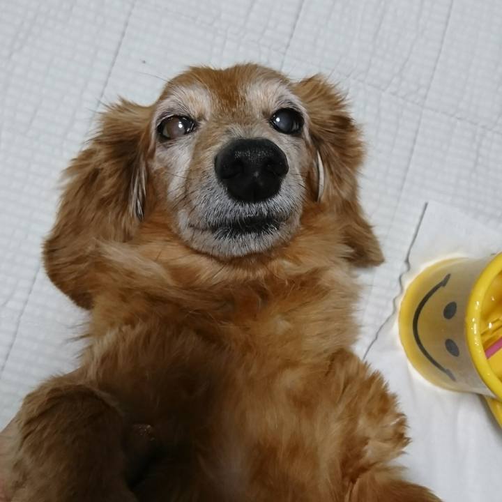 Dc271709 e14e 4785 b5d1 5044591d80c5