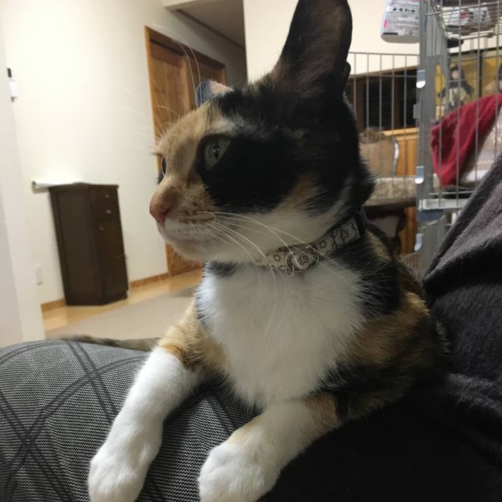 Dc278b4e 611b 4257 9e64 30bd9a0d1b1e