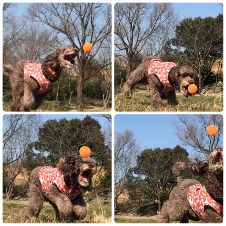 Dc27e177 33e7 427f af1c babe77c8152a