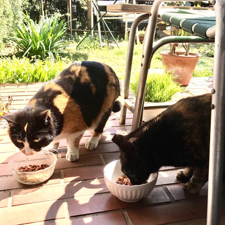 Dc28a6f3 e091 4b26 9ea7 90a565eee672