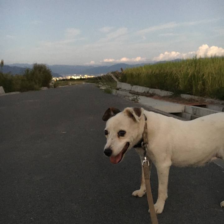 Dc291bd6 842c 47d8 b185 90c0bd4b38f7