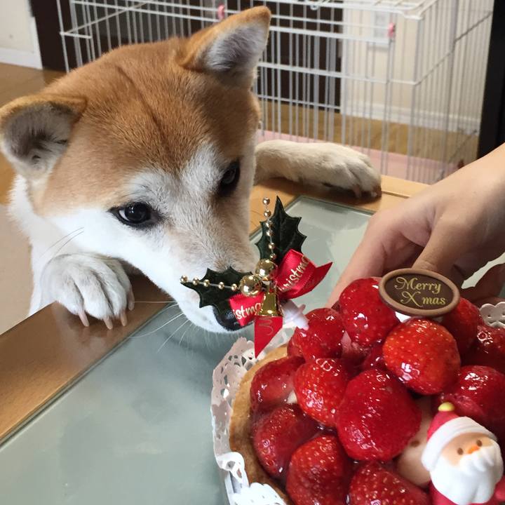 Dc2bf96c eee9 4eb8 acef 51e90bf11644