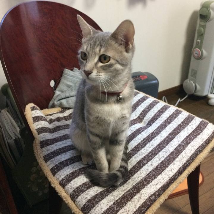 Dc2c3536 d31b 4eb0 b7bc ad87a53a9b0e