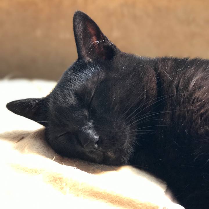 Dc2c4b07 6c2a 4fdf 89ab 2fea927de0df