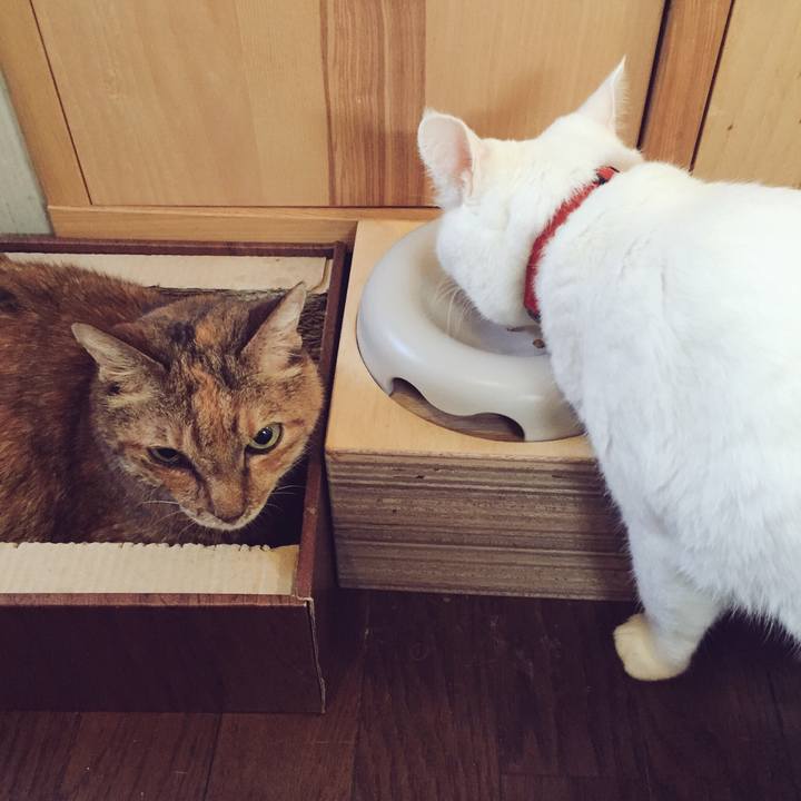 Dc2cdc1e bf3f 4884 a47f 4bf90f775e59