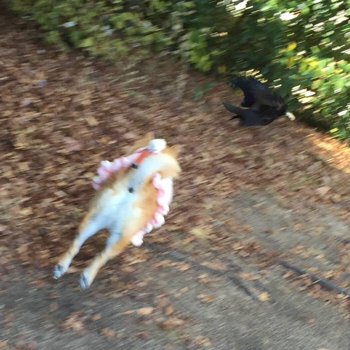 Dc2e8910 ce8d 4585 86cd 307db35f66ea