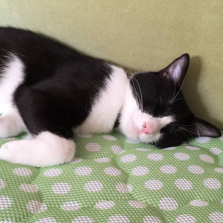 Dc2f1f59 fc47 4742 b0fa f719bb1ec2cf