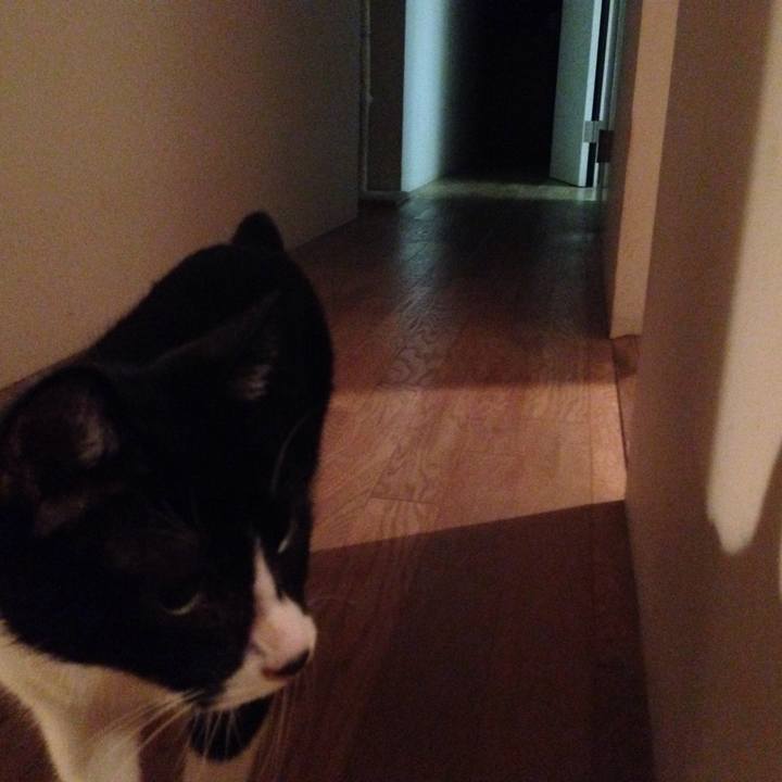 Dc2f6925 546e 4f01 af7b 0a47c1ab1ed7