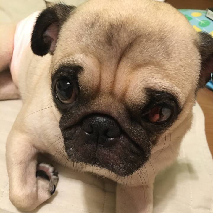 Dc2fa54f 4c94 4b18 8c1d 3ed2d9020587