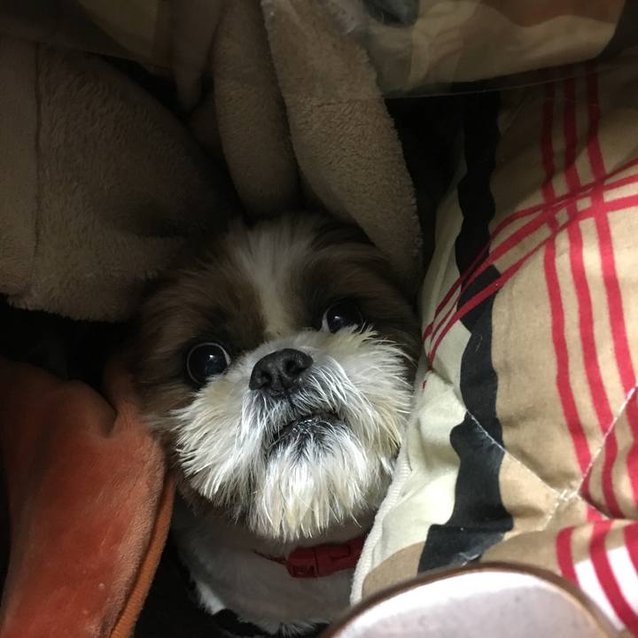 Dc2fc021 52c4 4f4e be05 16a04e6439f7