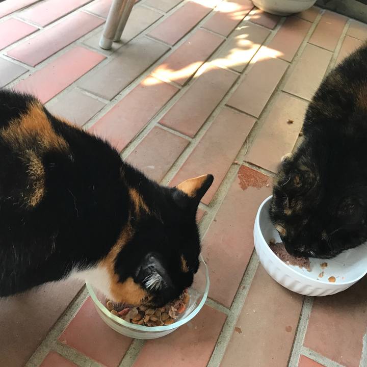 Dc3028f8 a111 46f0 980b 7e1cdacc0666