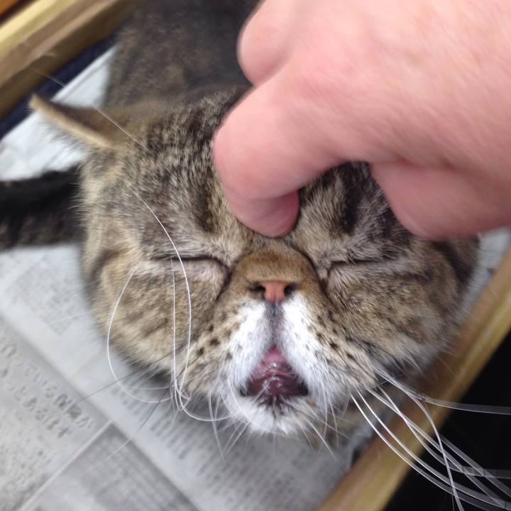 Dc3110b6 1976 4177 9e9f 25ec51a3d188