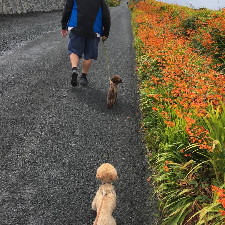 Dc31931b 2424 4773 8786 f868d0c1cb96