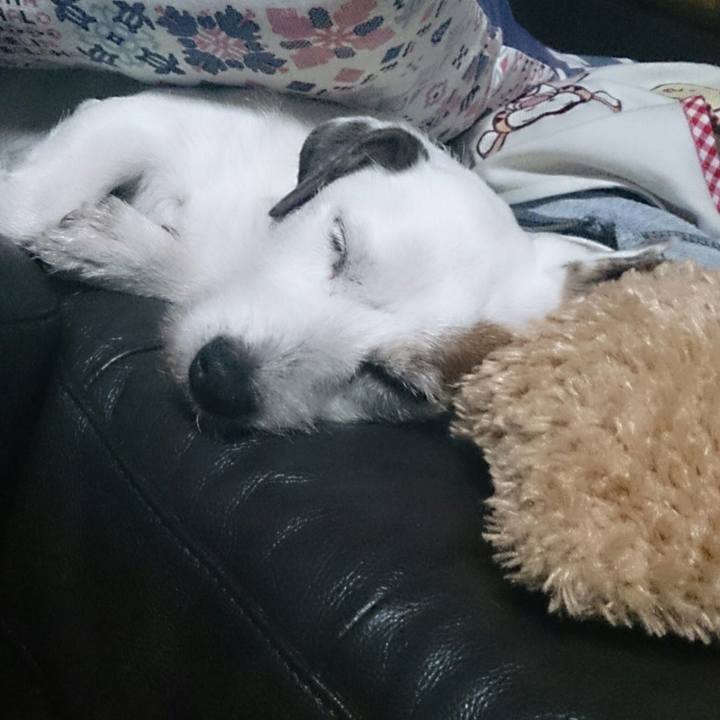 Dc322eab 8e75 43a5 ab70 ff67040b00af