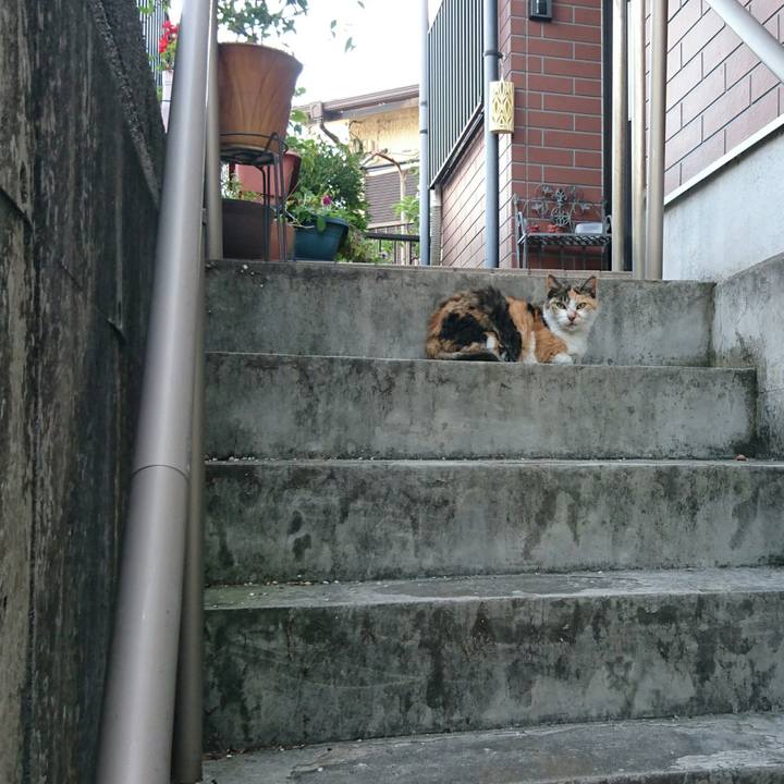 Dc3251bd 1673 4bf6 bac5 502df7b766dd