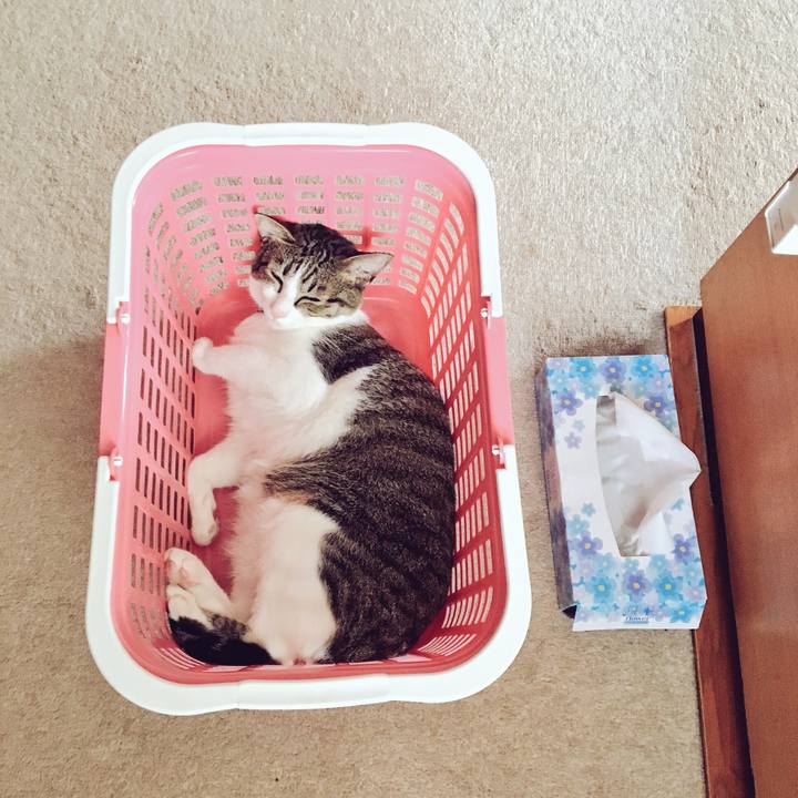 Dc329f7c 58b3 4061 bf54 95257b22ac9a