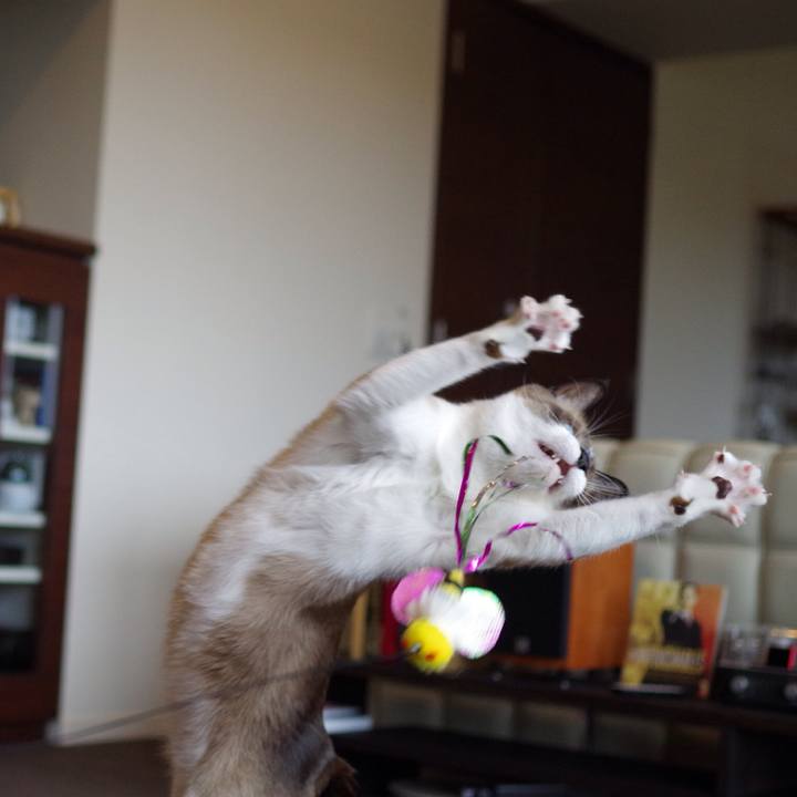 Dc3356b8 a971 43c6 88b4 28af4fdb6e2f