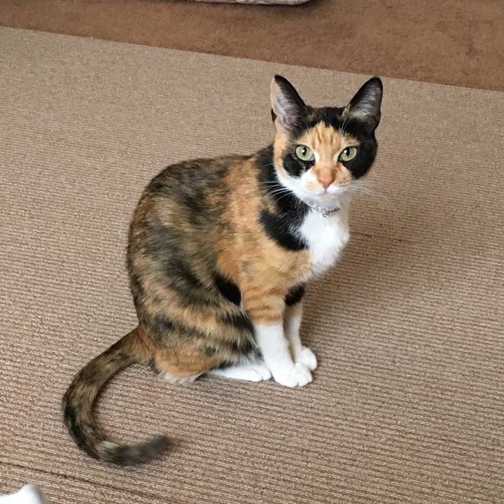 Dc345c0d 6426 438a 9e49 216f8e5392bc