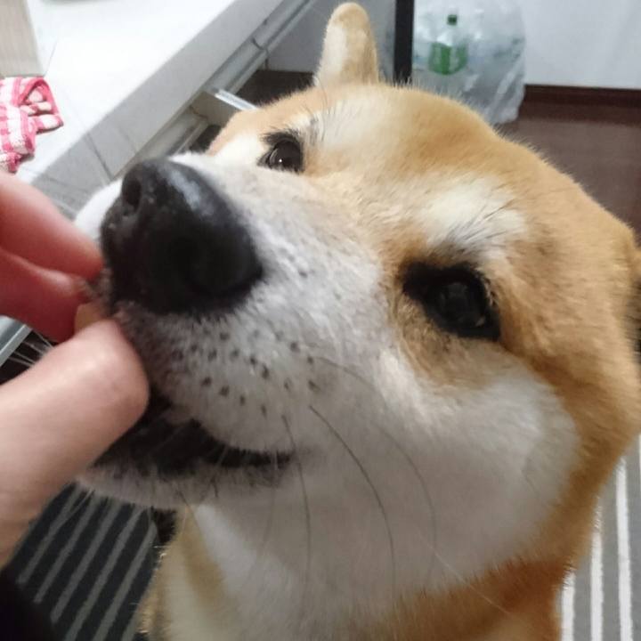 Dc346df1 2a37 41c1 8347 7ce927057da3