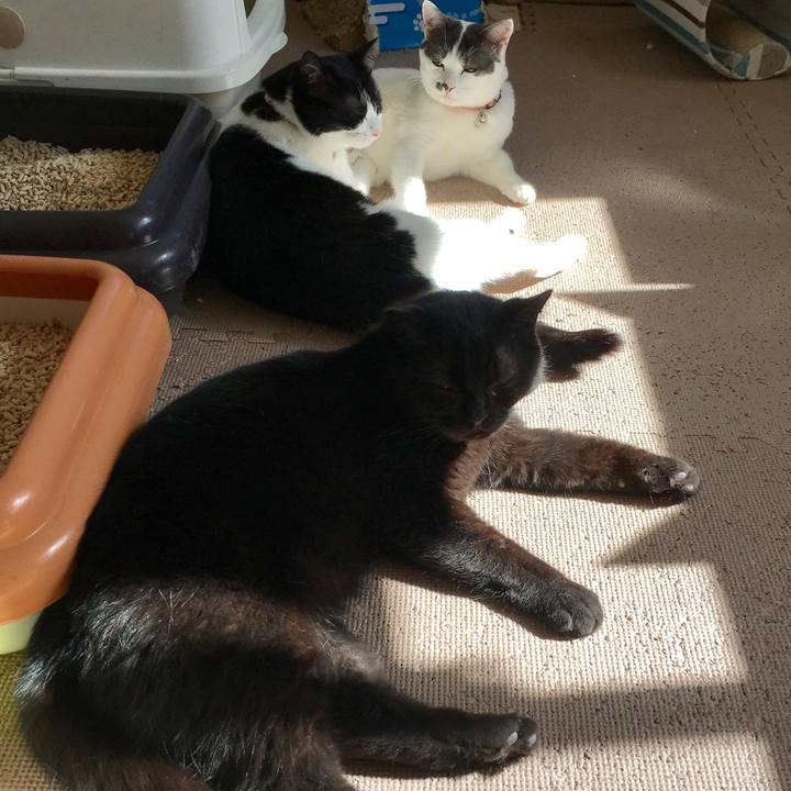 Dc3494e9 5ff6 463f b65b 9f554c537728