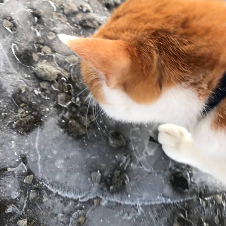 Dc358516 e0aa 4f14 8d03 a975e6b591c1