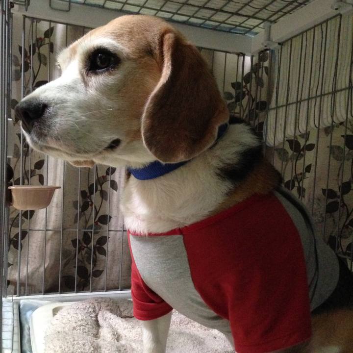 Dc358ff3 fd84 4b0c b426 a7fab51f5f03