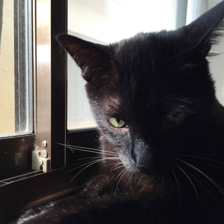 Dc364960 bfe9 4e82 a37b b585c085951c