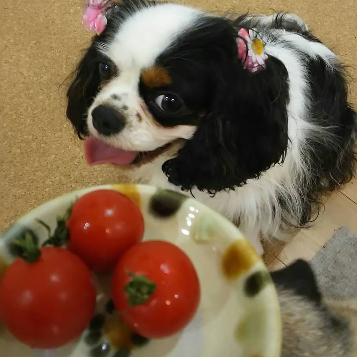 Dc37752f 6734 47eb 8b7e 10a966ad4985