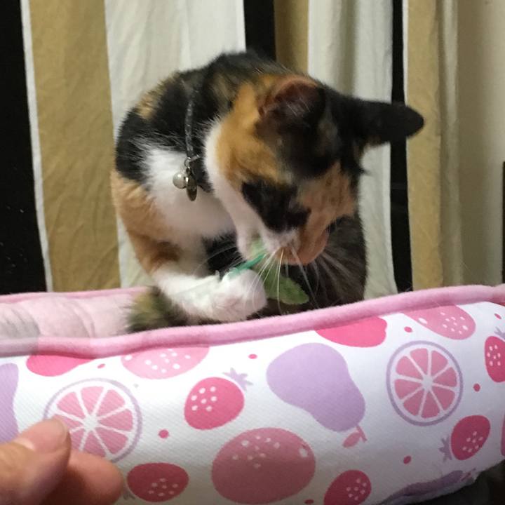 Dc37a3d8 d613 4df2 84bb 9dcc36c076e4