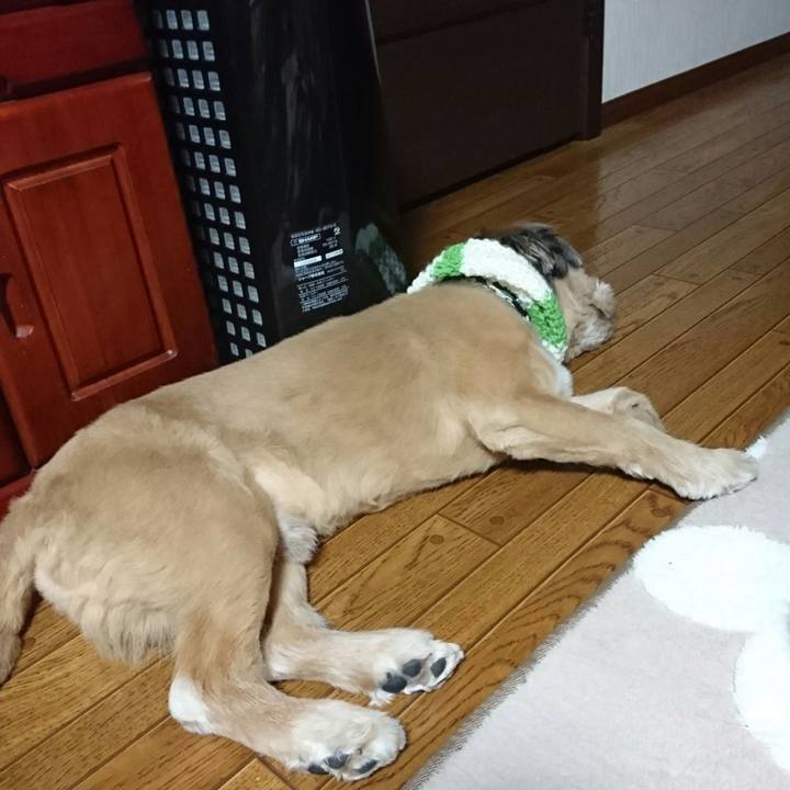 Dc383769 4bdc 40b8 82d3 475a7c38ab52