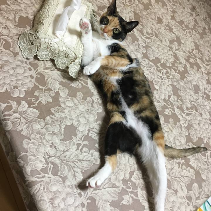 Dc3882ed f92d 4696 b66c 0bf932c3f314